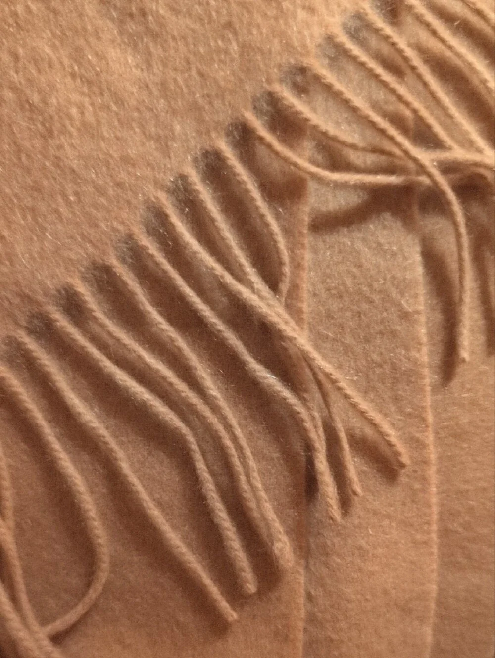 Unisex Camel Cashmere Scarf